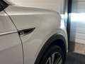 Volkswagen T-Cross 1.0 TSI 115 ch DSG7 R-Line - Suvi Volkswagen Blanc - thumbnail 23