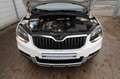 Skoda Yeti Ambition Outdoor|Tempomat|Klimaauto|2 Hand| Weiß - thumbnail 3