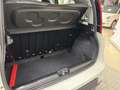 Fiat Panda Panda 1.0 FireFly S&S Hybrid Bianco - thumbnail 10