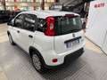 Fiat Panda Panda 1.0 FireFly S&S Hybrid Bianco - thumbnail 3