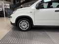 Fiat Panda Panda 1.0 FireFly S&S Hybrid Bianco - thumbnail 4