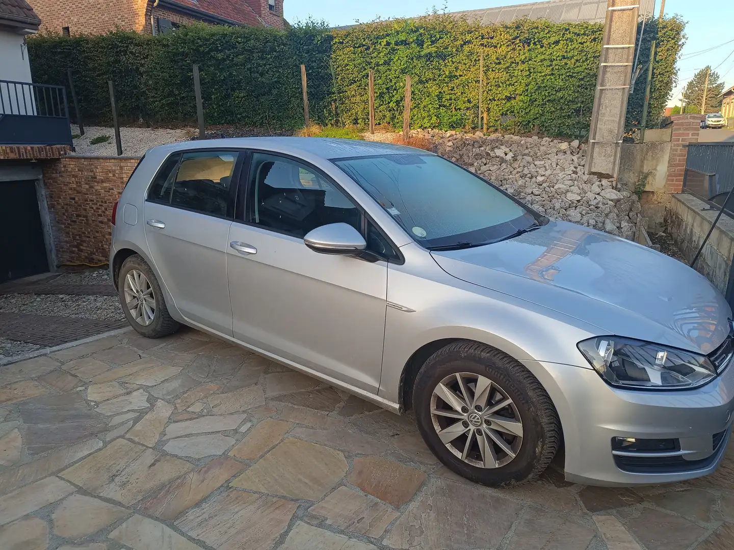 Volkswagen Golf Golf 1.6 TDI 110 BlueMotion Technology FAP Edition Argent - 1