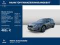 Skoda Octavia Combi Exclusive 2.0 TDI DSG Navi LED PDC Grau - thumbnail 2