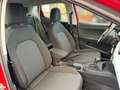 SEAT Ibiza Style Edition 1.0 TSI DSG PDC Full Link Tempo. Kli Rot - thumbnail 16
