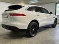 Jaguar F-Pace F-Pace 2015 2.0d Prestige awd 180cv auto Bianco - thumbnail 7