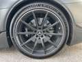 Mercedes-Benz AMG GT AMG GT Black Series*nur 300km*MWST ausweisbar!!! Grau - thumbnail 20