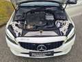 Mercedes-Benz C 220 d T Aut. AVANTGARDE, Leder, SR/WR Weiß - thumbnail 13