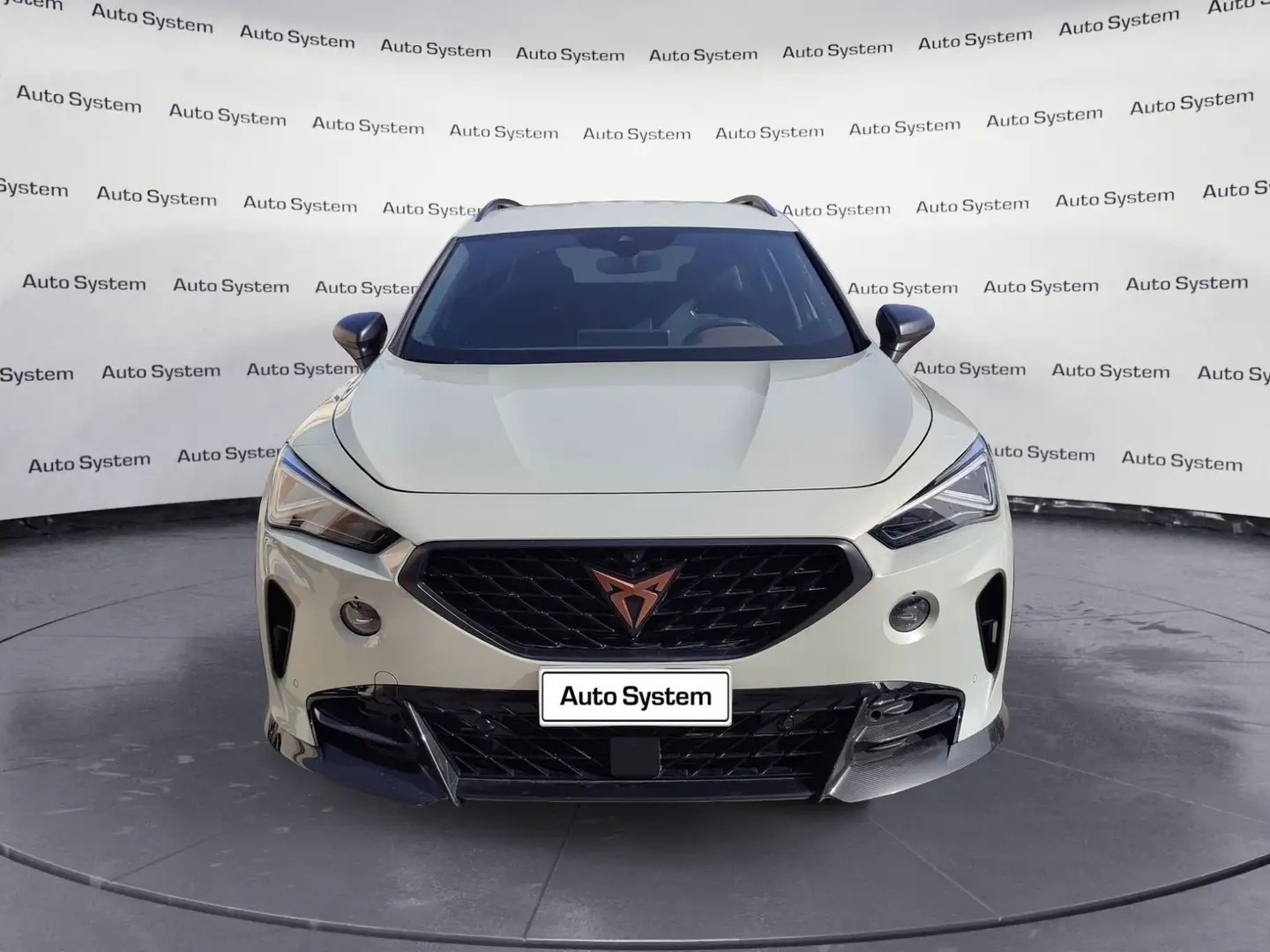 CUPRA Formentor 2.5 TSI 4Drive DSG VZ5 Taiga Grey Grigio - 2