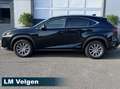 Lexus NX 300h AWD President Line /NAVI/CAMERA/AIRCO/GARANTIE/ Schwarz - thumbnail 3