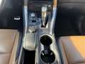 Lexus NX 300h AWD President Line /NAVI/CAMERA/AIRCO/GARANTIE/ Noir - thumbnail 16
