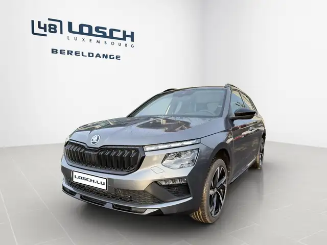 Skoda Kamiq view 2