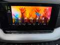 Skoda Octavia Style 2.0 TDI Aut |PANO|LED|TOTWINKEL|SPURHALTE|HEAD-UP| Grau - thumbnail 31
