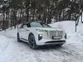 Hongqi E-HS9 99kWh Premium|Matrix|7Seater|360°|PANO|KEYL|DIST Weiß - thumbnail 1