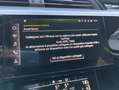 Audi e-tron e-tron Sportback 55 S Line Edition quattro Long R. Grigio - thumbnail 14