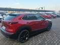 Mazda CX-30 CX-30 2.5 m-hybrid Homura 2wd 140cv 6mt Rosso - thumbnail 20