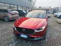 Mazda CX-30 CX-30 2.5 m-hybrid Homura 2wd 140cv 6mt Rosso - thumbnail 14