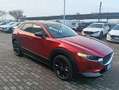 Mazda CX-30 CX-30 2.5 m-hybrid Homura 2wd 140cv 6mt Rosso - thumbnail 6