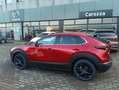 Mazda CX-30 CX-30 2.5 m-hybrid Homura 2wd 140cv 6mt Rosso - thumbnail 17