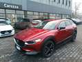 Mazda CX-30 CX-30 2.5 m-hybrid Homura 2wd 140cv 6mt Rosso - thumbnail 4