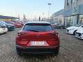 Mazda CX-30 CX-30 2.5 m-hybrid Homura 2wd 140cv 6mt Rosso - thumbnail 16