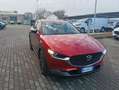 Mazda CX-30 CX-30 2.5 m-hybrid Homura 2wd 140cv 6mt Rosso - thumbnail 9