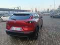 Mazda CX-30 CX-30 2.5 m-hybrid Homura 2wd 140cv 6mt Rosso - thumbnail 8