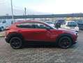 Mazda CX-30 CX-30 2.5 m-hybrid Homura 2wd 140cv 6mt Rosso - thumbnail 12