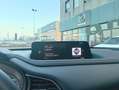 Mazda CX-30 CX-30 2.5 m-hybrid Homura 2wd 140cv 6mt Rosso - thumbnail 18