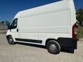 Citroen Jumper 2.0 HDI 131 CV 3 P L2 H2 IVA ESCLUSA Bianco - thumbnail 8