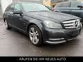 Mercedes-Benz C 300 T-Modell CDI 4Matic*Navi*Leder*AHK*Panoram Zwart - thumbnail 2