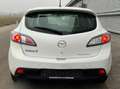 Mazda 3 3 Sport 1,6i Special Edition ID:59 Weiß - thumbnail 6