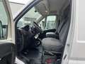 Citroen Jumper VoitureCamp 21L Wohnmobil 6,40m 140 PS Weiß - thumbnail 5
