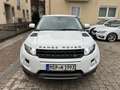 Land Rover Range Rover Evoque Prestige Automatik Kamera/Leder/Bi-Xenon/F1/PDC Weiß - thumbnail 1