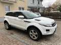 Land Rover Range Rover Evoque Prestige Automatik Kamera/Leder/Bi-Xenon/F1/PDC Weiß - thumbnail 3