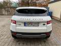 Land Rover Range Rover Evoque Prestige Automatik Kamera/Leder/Bi-Xenon/F1/PDC Weiß - thumbnail 5