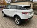 Land Rover Range Rover Evoque Prestige Automatik Kamera/Leder/Bi-Xenon/F1/PDC Weiß - thumbnail 4