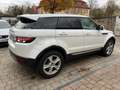 Land Rover Range Rover Evoque Prestige Automatik Kamera/Leder/Bi-Xenon/F1/PDC Weiß - thumbnail 6