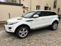 Land Rover Range Rover Evoque Prestige Automatik Kamera/Leder/Bi-Xenon/F1/PDC Weiß - thumbnail 2
