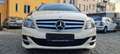 Mercedes-Benz B 200 (Natural Gas Drive) c*Automatik*Euro6*Taxi* Amarillo - thumbnail 7