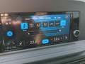 Volkswagen Caddy Caddy 2.0 TDI DSG SHZ LED GRA Climatroni Grau - thumbnail 15
