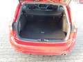 Ford Focus Turnier ST-Line X Rojo - thumbnail 10