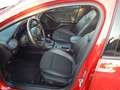 Ford Focus Turnier ST-Line X Rojo - thumbnail 14