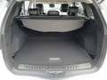 Renault Koleos KOLEOS Intens TCe 160 2WD EDC Weiß - thumbnail 10