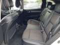 Renault Koleos KOLEOS Intens TCe 160 2WD EDC Weiß - thumbnail 9