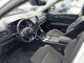 Renault Koleos KOLEOS Intens TCe 160 2WD EDC Weiß - thumbnail 8