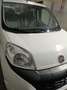Fiat Qubo Qubo 1.3 mjt 16v Easy s bijela - thumbnail 1