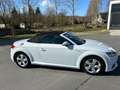 Audi TT Roadster S Line 2.0 TDI Ultra Matrix B&O Weiß - thumbnail 5