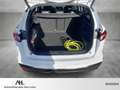 Skoda Enyaq 60 Sportline LED Navi Pano PDC SHZ Wit - thumbnail 12