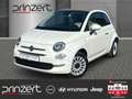 Fiat 500 1.2 Cabrio "Lounge" S&S City&Loung&Komfort-Paket Weiß - thumbnail 1