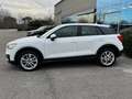 Audi Q2 2.0 TDI 190 CV QUATTRO S TRONIC S LINE EDITION Bianco - thumbnail 24